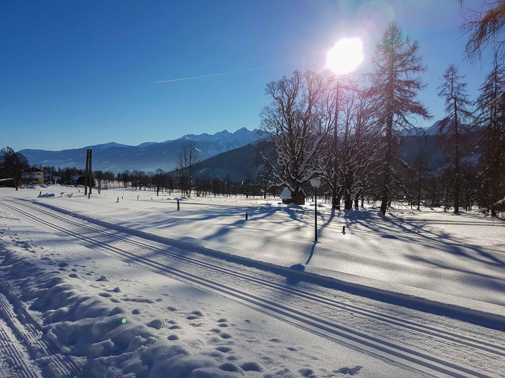 رامساو أم داتشستين Appartementhaus Sonne المظهر الخارجي الصورة