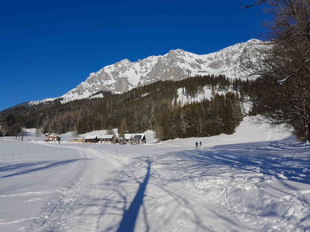 رامساو أم داتشستين Appartementhaus Sonne المظهر الخارجي الصورة